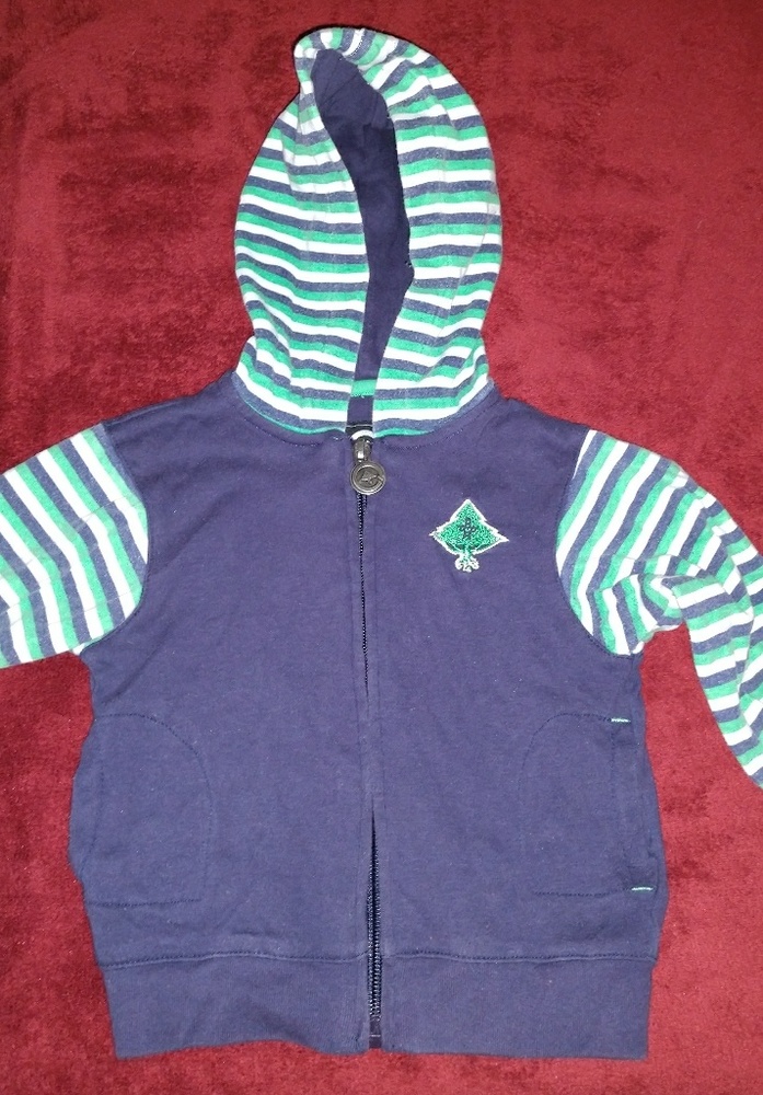 Joggers suit